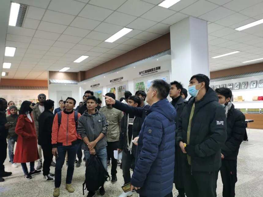 西南林业大学教授 蓝增全 │云南是世界茶文化的“根”和“源”