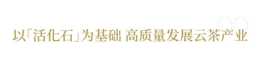 西南林业大学教授 蓝增全 │云南是世界茶文化的“根”和“源”