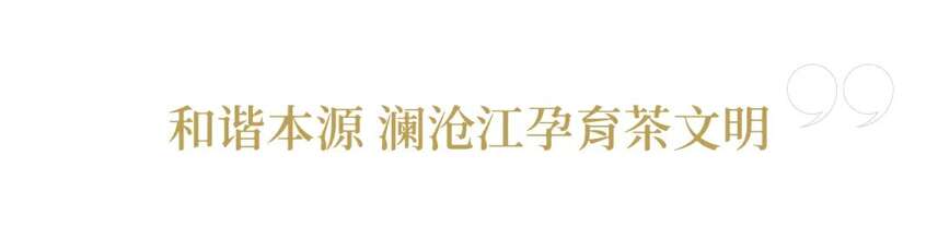 西南林业大学教授 蓝增全 │云南是世界茶文化的“根”和“源”