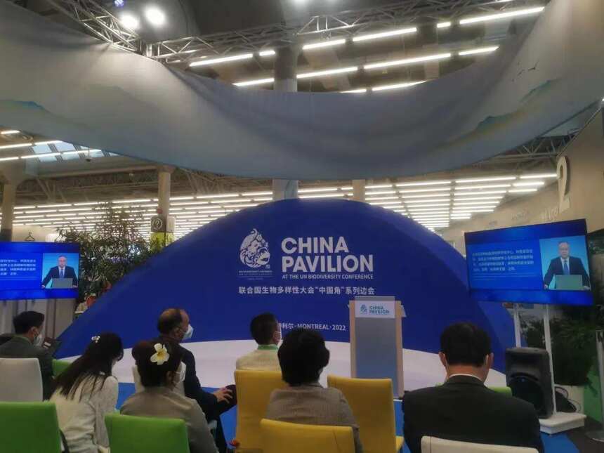 何青元：西双版纳古茶树极大地促进了云南茶叶产业和旅游业的发展