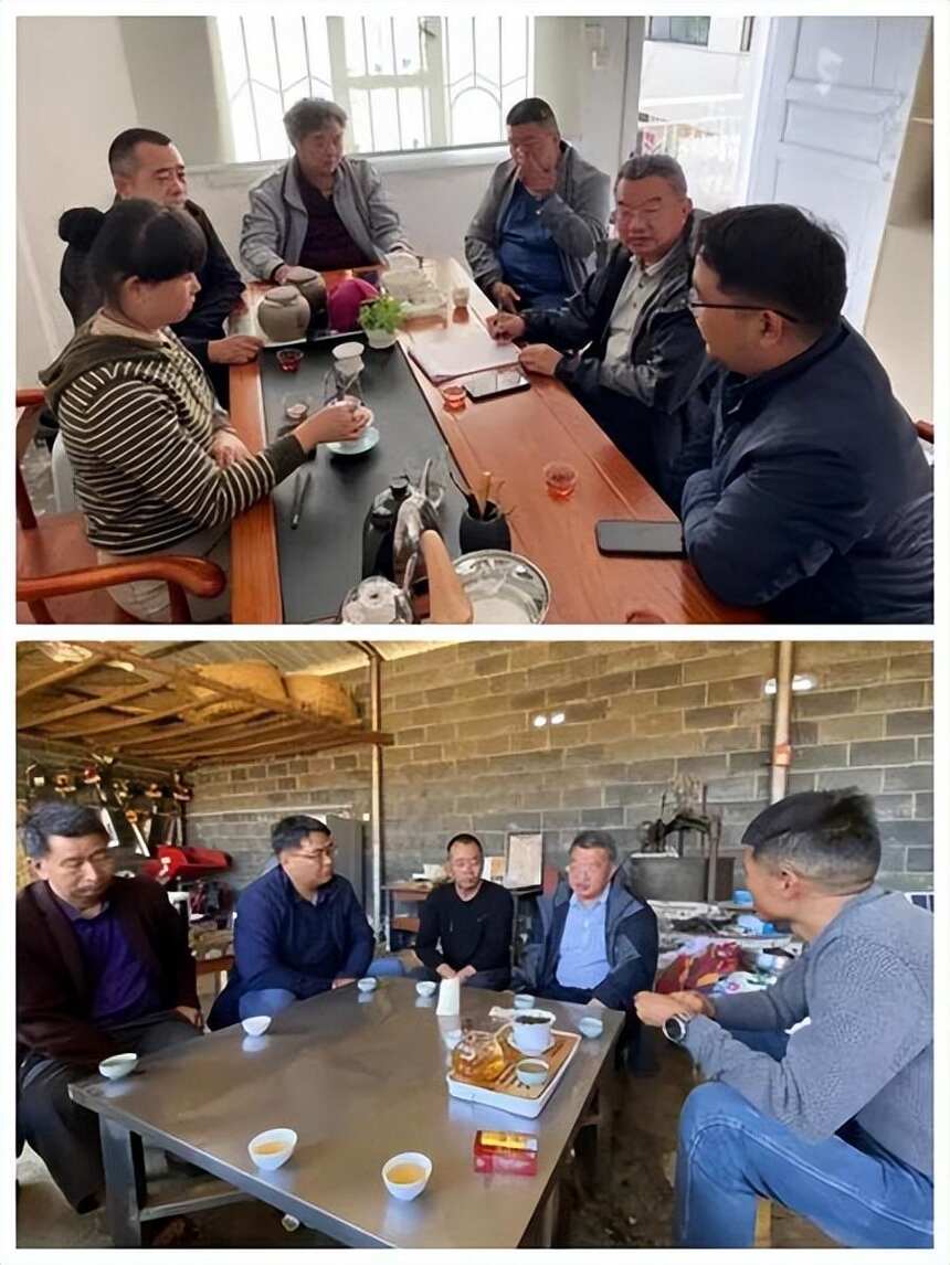 云南省农业科学院茶叶研究所对梁河县茶叶产业发展提建议和对策