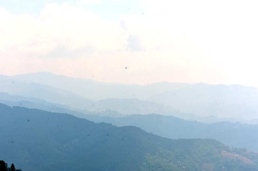 1000元以下，盘点勐库茶区最具性价比的四大山头古树