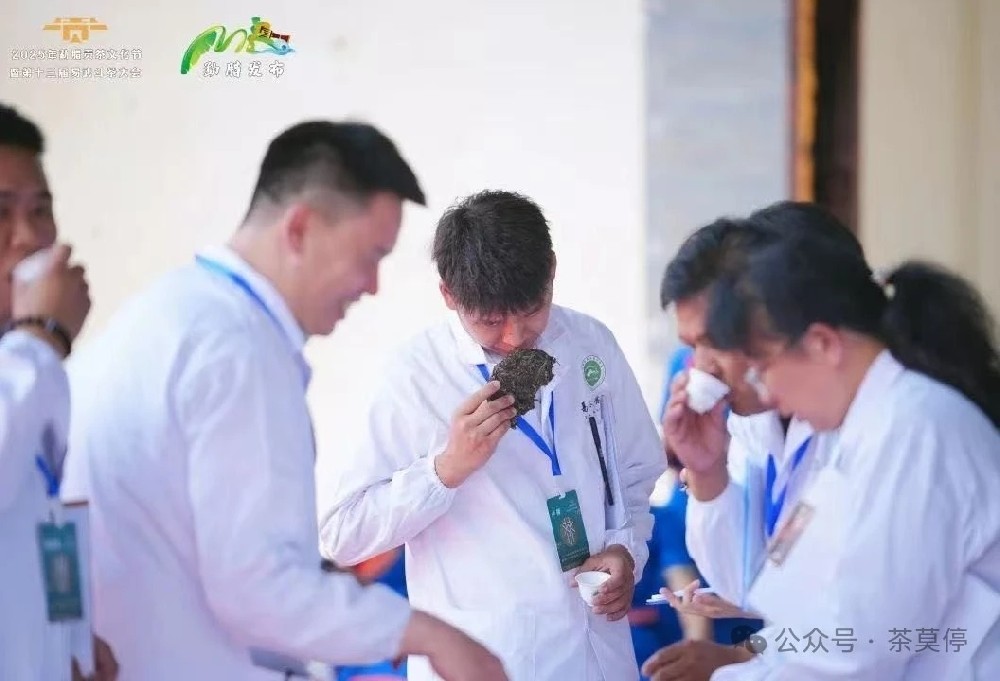 金奖！中国云南云茶甄选大赛 斗茶大赛
